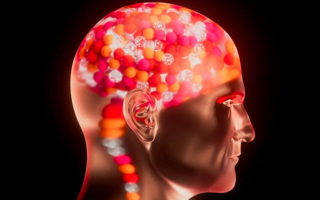 exploring the brain’s regenerative potential